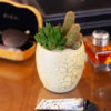 Gold is Decoration planter and Decorative gifts product