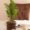 The Forest is Decoration planter and Gifts Product