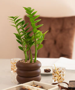 The Forest is Decoration planter and Gifts Product