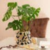 Magic is Decoration planter and Gifts product