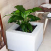 White Corner is Decoration planter product