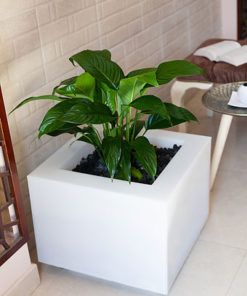 White Corner is Decoration planter product