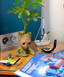 I'm Groot is Decorative giftsproduct