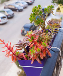 Red Mountain is balcony decorations product